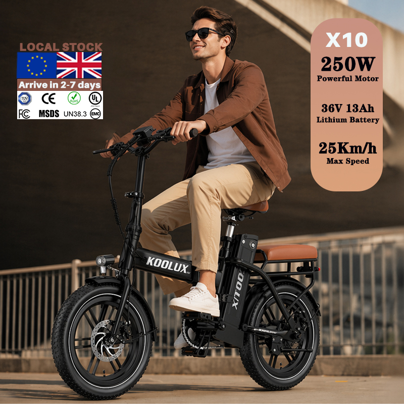 ヨーロッパ ポーランド X10 電動折りたたみ自転車 リチウ - Mountain Biking Europe のレビューと価格